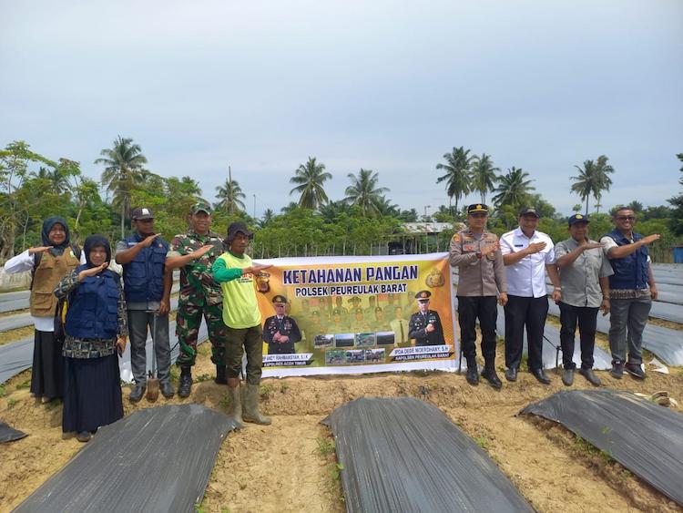 ketahanan pangan revolusinews