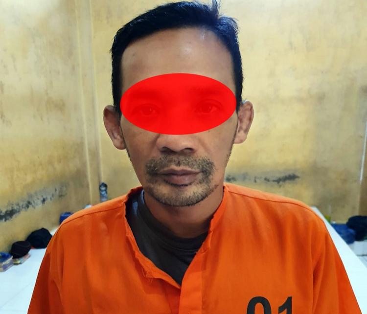 oknum sekdes revolusinews oknum sekdes revolusinews