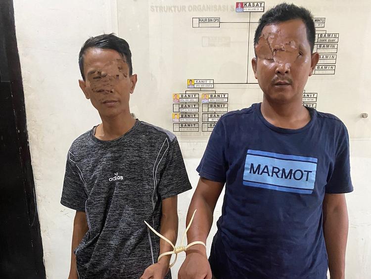bandar narkoba revolusinews