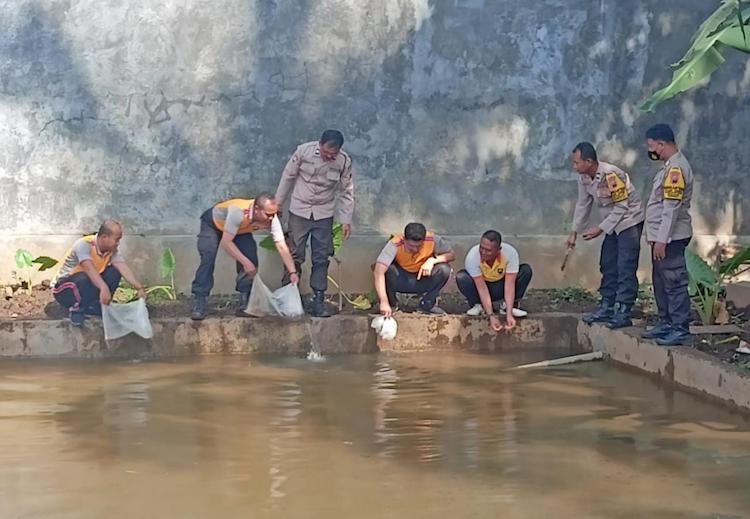 budidaya ikan revolusinews