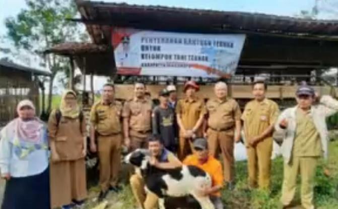 kelompok ternak revolusinews