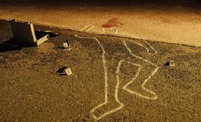 img 20230711 wa0013