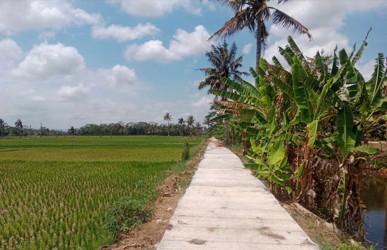 Hasil pekerjaan kegiatan pembangunan Jalan Usaha Tani (JUT) Desa Babakan oleh Kelompok Tani Sumber Rejeki. (Foto : Tunjang Drs RNews)