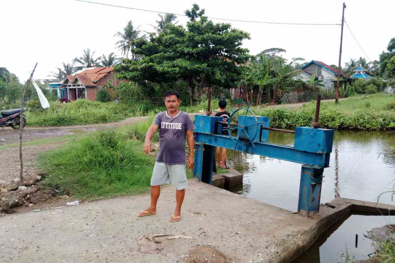 img 20241214 wa0009 11zon