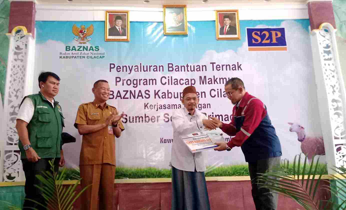 img 20250930 wa0017 11zon