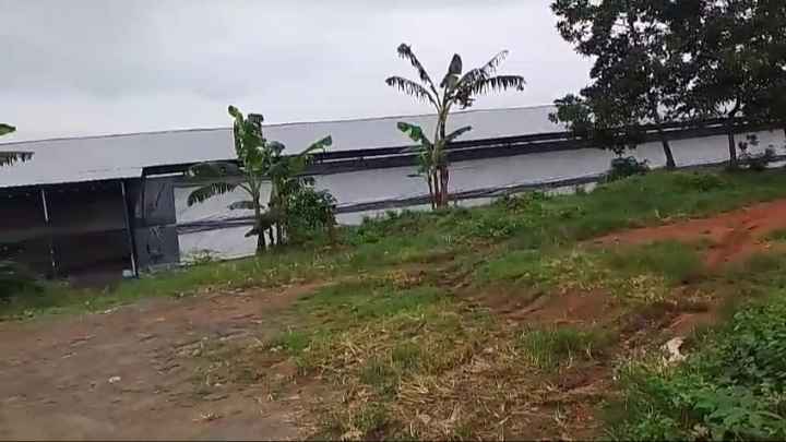 img 20251028 222908 11zon