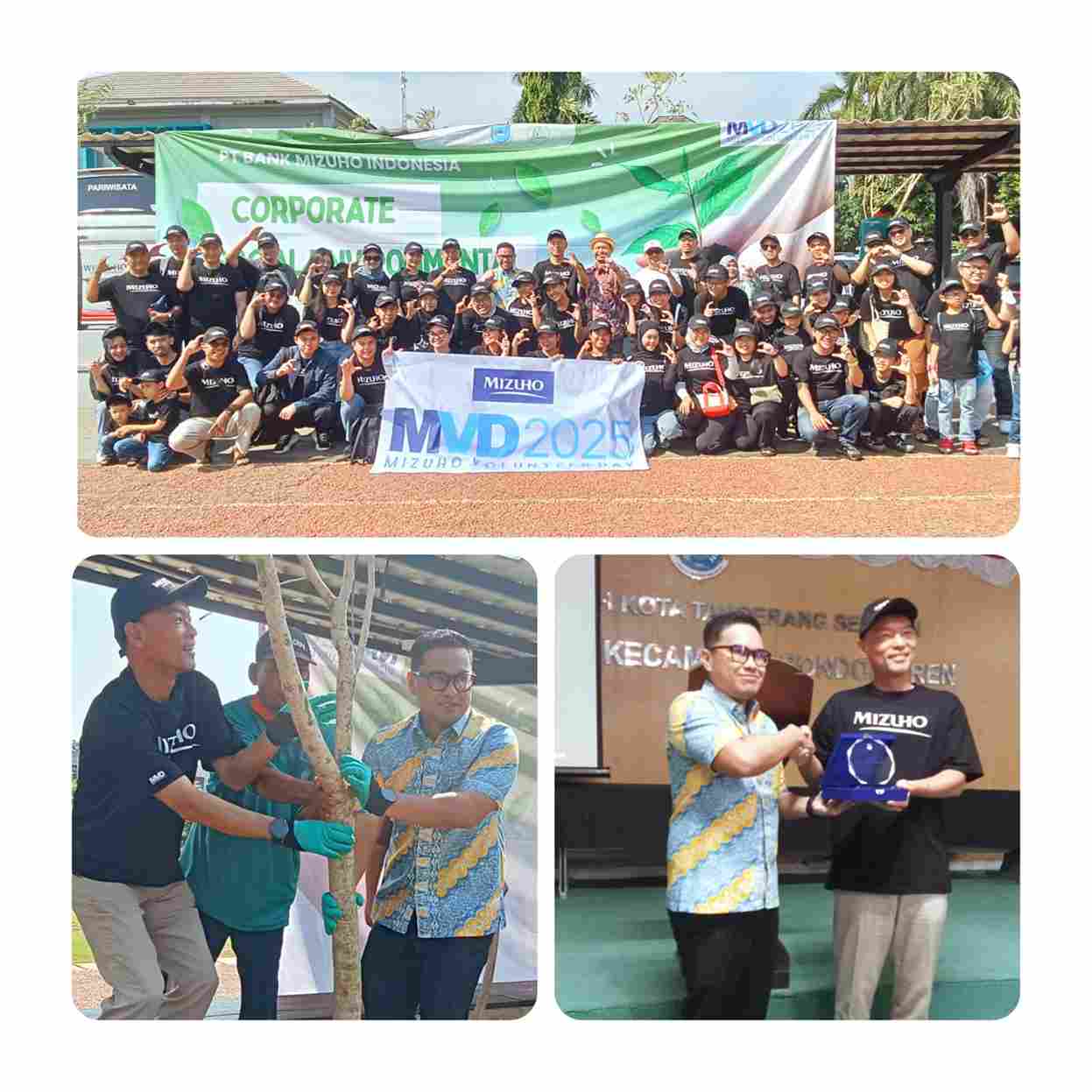 img 20251101 wa0029 11zon