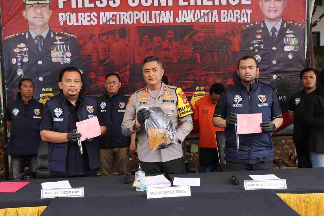 img 20251106 wa0002 11zon