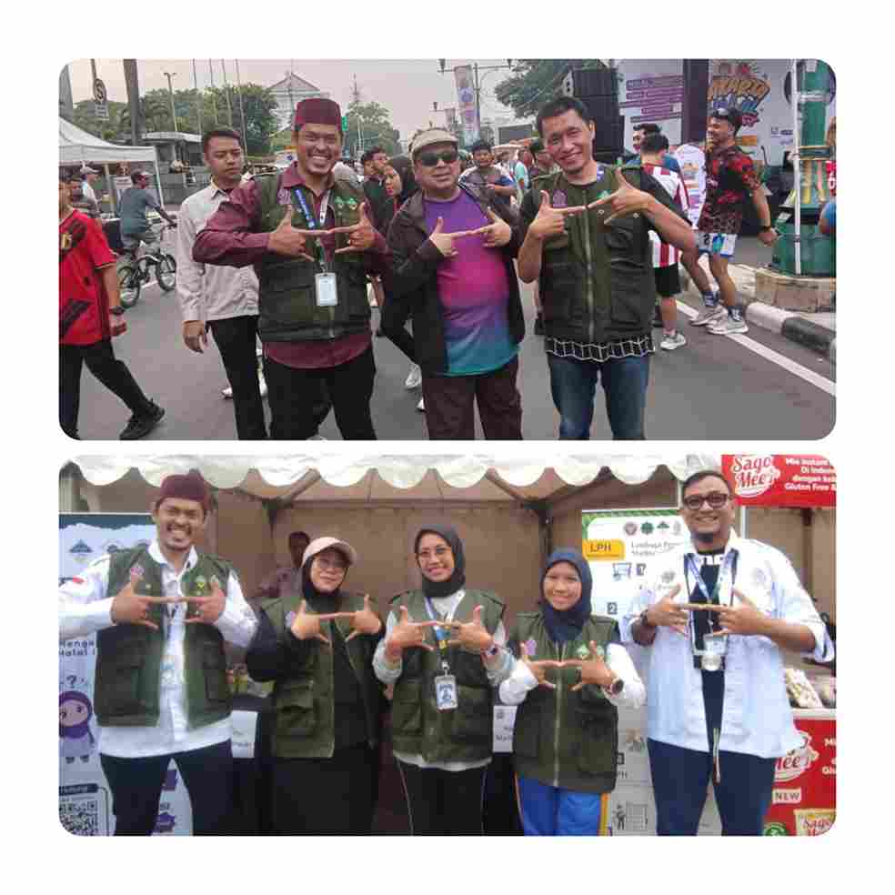 img 20251126 wa0146 11zon