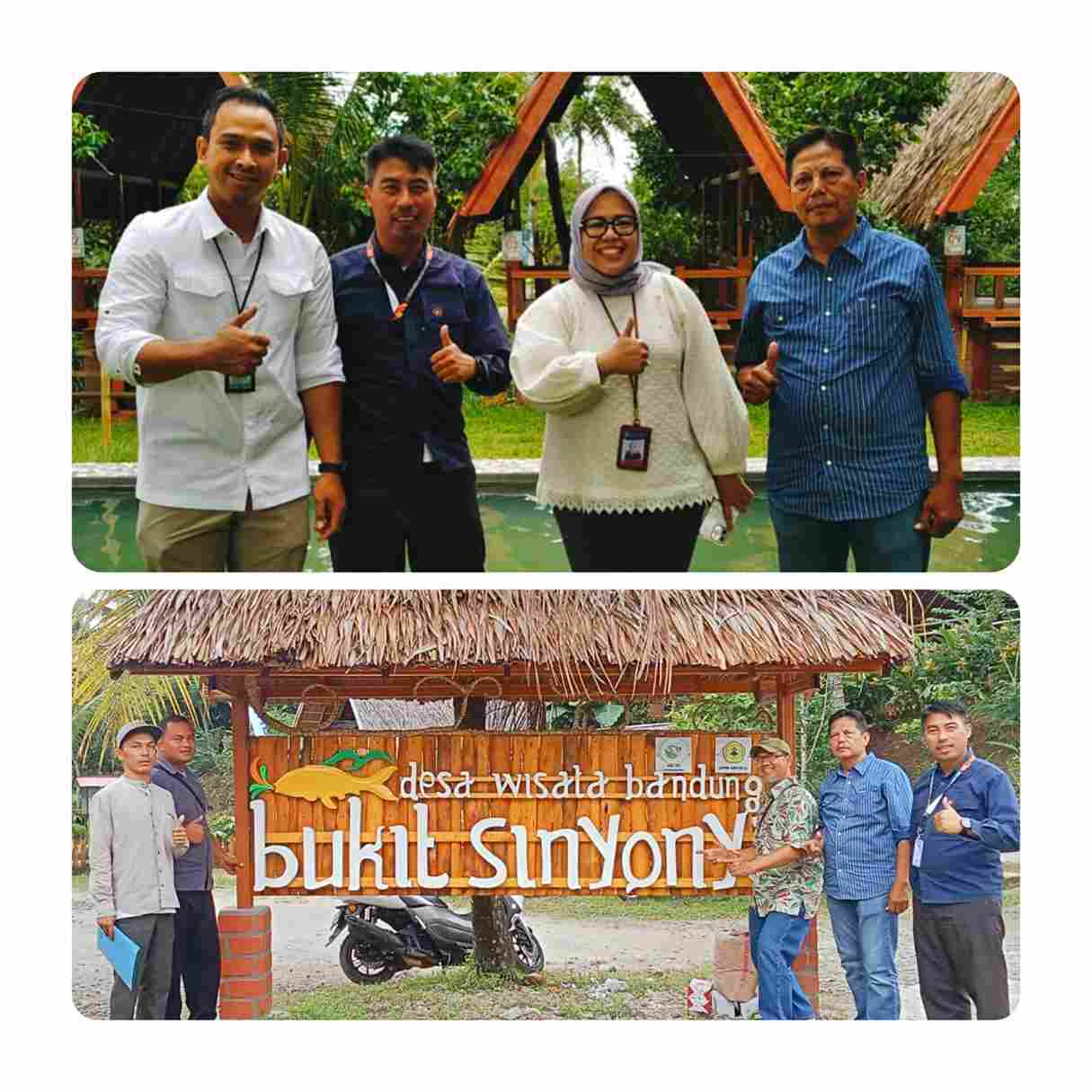 img 20251127 wa0008 11zon