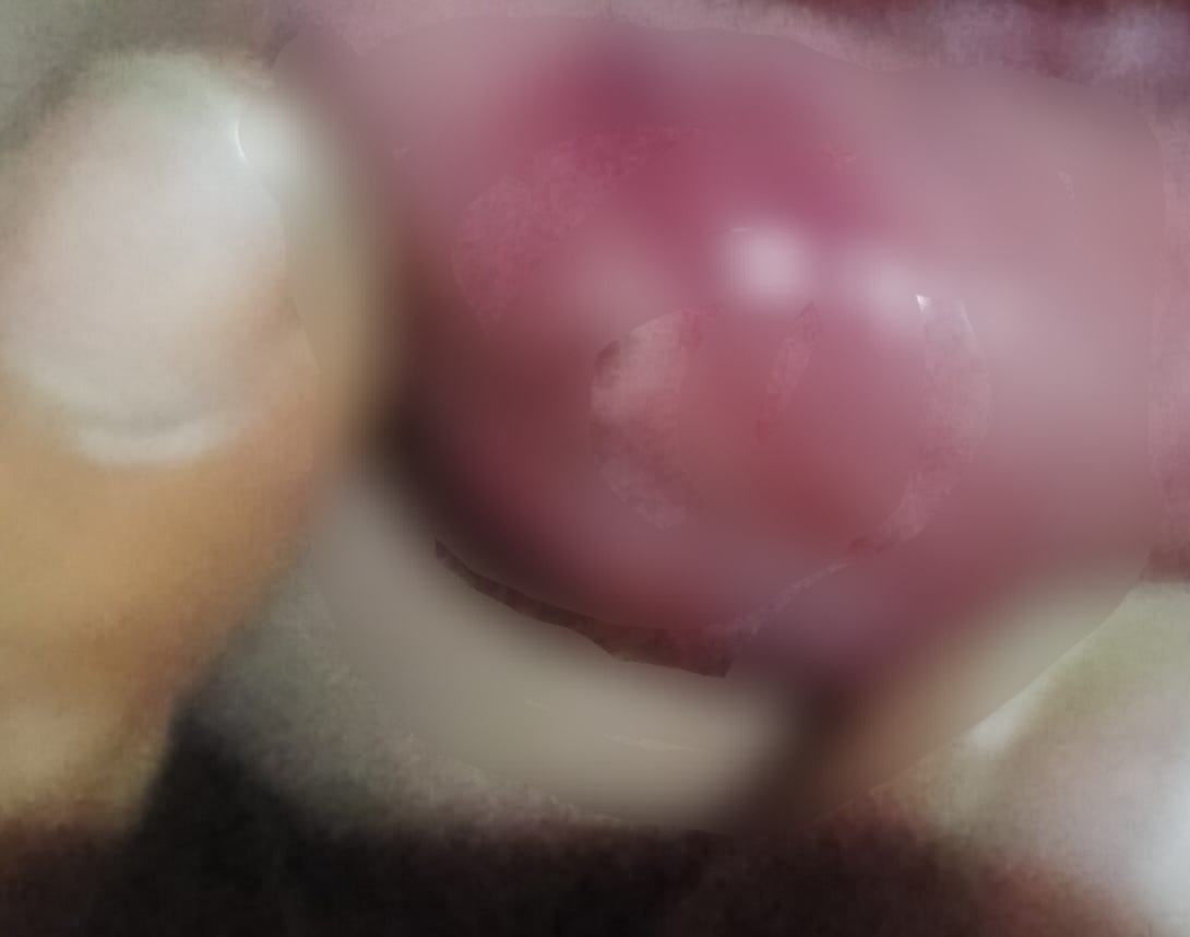 img 20260126 wa0121 img 20260126 wa0121