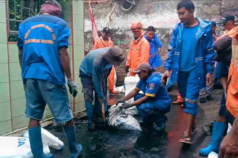 img 20260208 wa0040 11zon