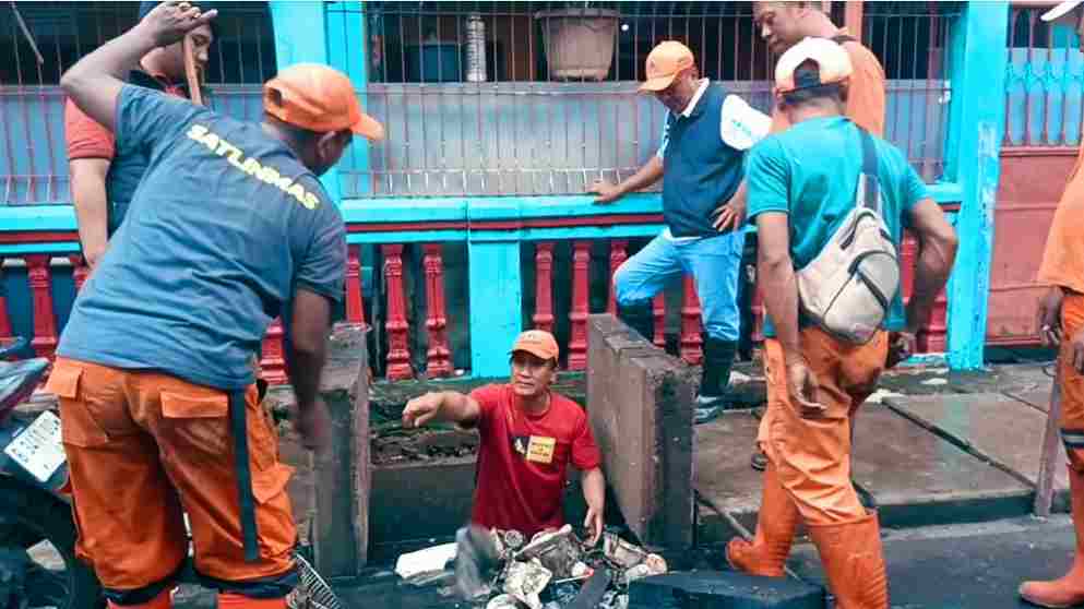 img 20260208 wa0055 11zon