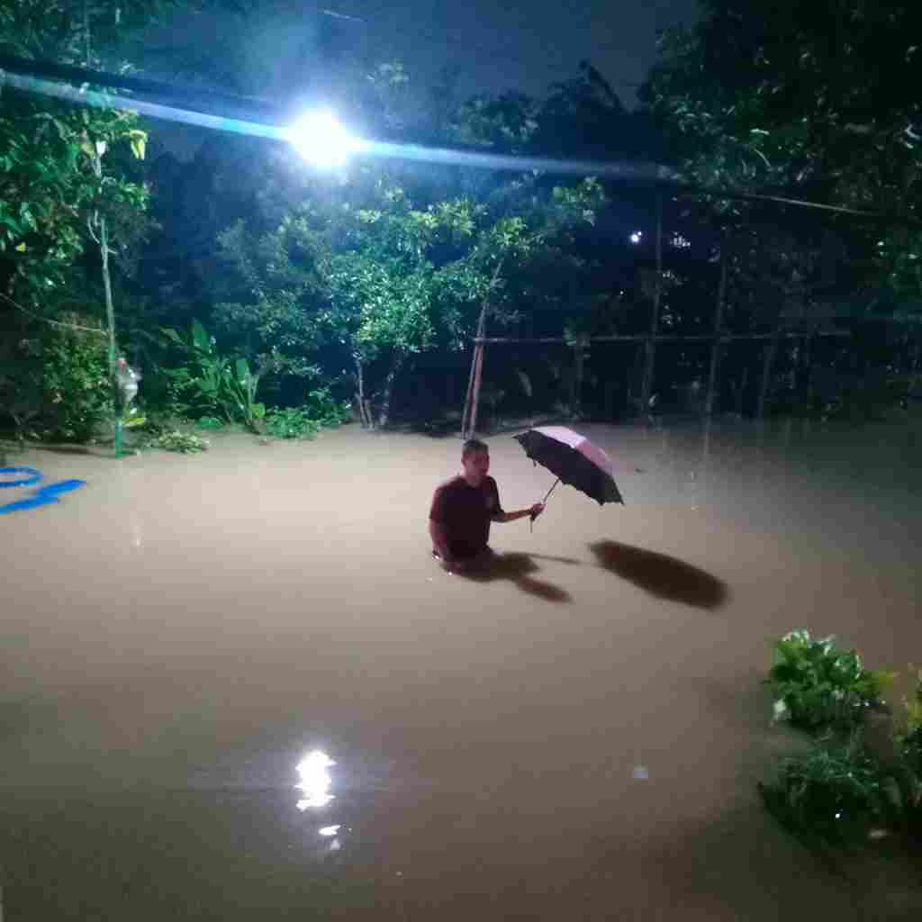 img 20260308 wa0030 11zon