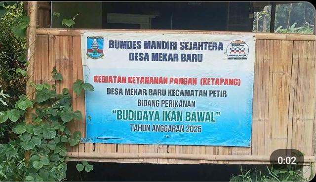 img 20260517 wa0021