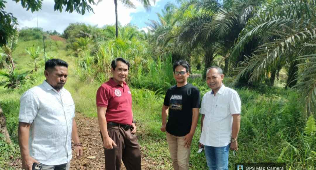 img 20260613 wa0013 11zon