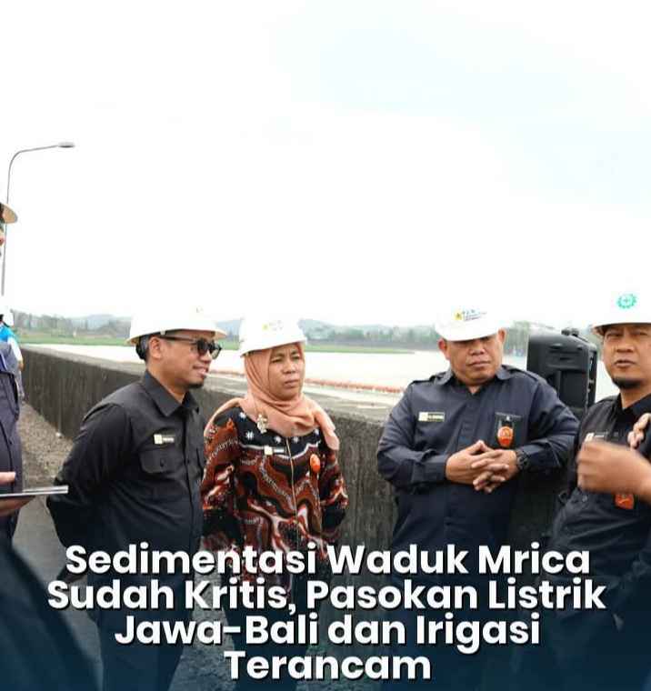img 20260915 wa0006 11zon